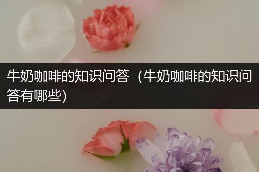 牛奶咖啡的知识问答（牛奶咖啡的知识问答有哪些）