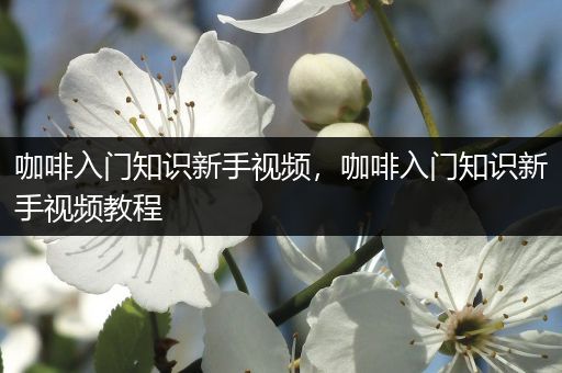 咖啡入门知识新手视频，咖啡入门知识新手视频教程