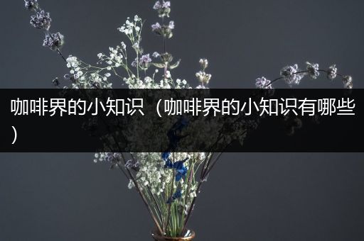 咖啡界的小知识（咖啡界的小知识有哪些）