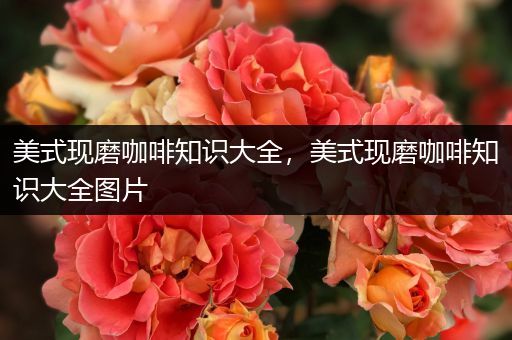 美式现磨咖啡知识大全，美式现磨咖啡知识大全图片