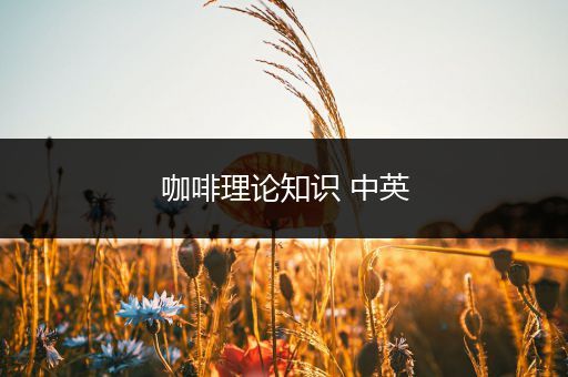 咖啡理论知识 中英