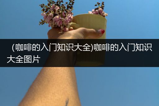 （咖啡的入门知识大全)咖啡的入门知识大全图片