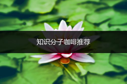 知识分子咖啡推荐