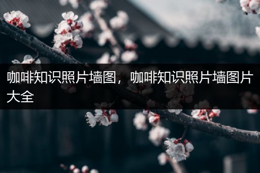 咖啡知识照片墙图，咖啡知识照片墙图片大全