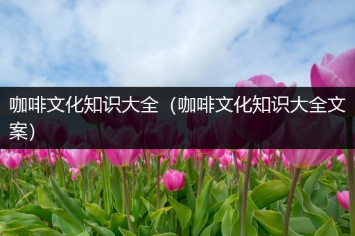 咖啡文化知识大全（咖啡文化知识大全文案）