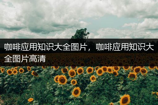 咖啡应用知识大全图片，咖啡应用知识大全图片高清