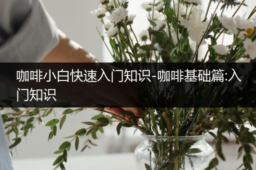 咖啡小白快速入门知识-咖啡基础篇:入门知识