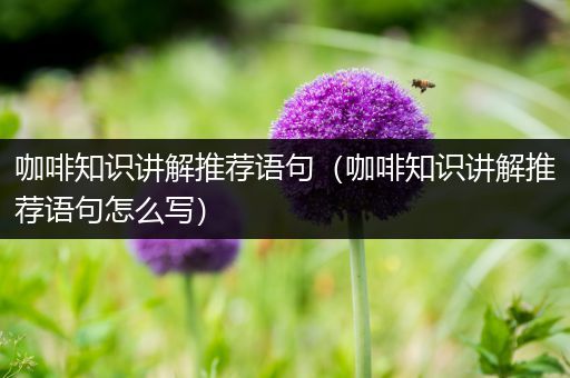 咖啡知识讲解推荐语句（咖啡知识讲解推荐语句怎么写）