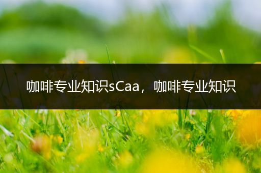 咖啡专业知识sCaa，咖啡专业知识