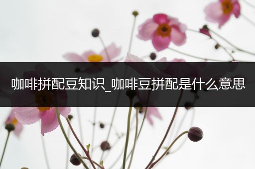 咖啡拼配豆知识_咖啡豆拼配是什么意思