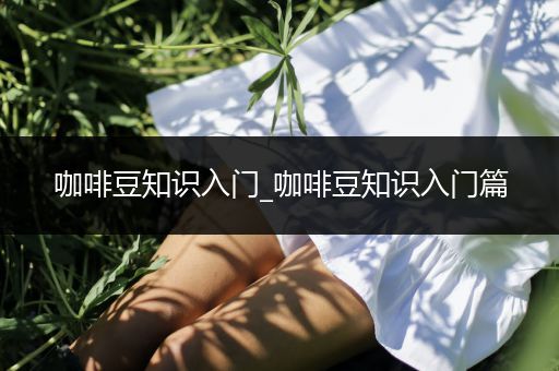 咖啡豆知识入门_咖啡豆知识入门篇