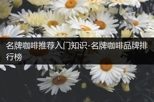 名牌咖啡推荐入门知识-名牌咖啡品牌排行榜