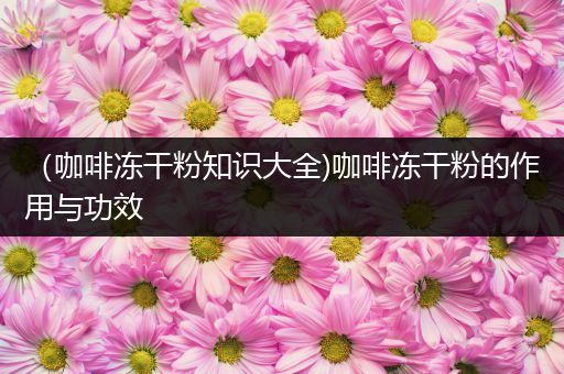 （咖啡冻干粉知识大全)咖啡冻干粉的作用与功效