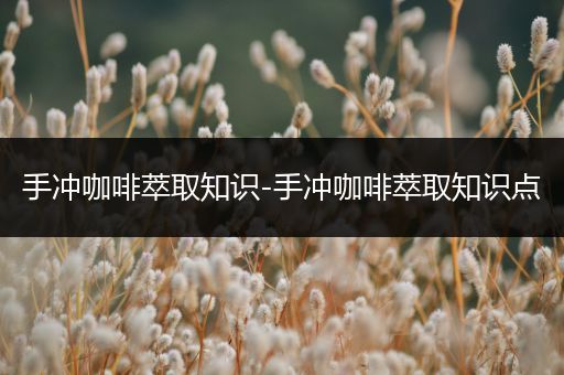 手冲咖啡萃取知识-手冲咖啡萃取知识点