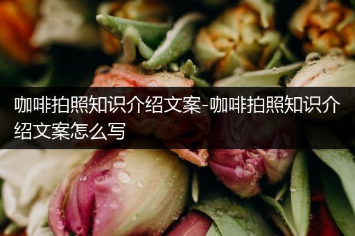 咖啡拍照知识介绍文案-咖啡拍照知识介绍文案怎么写