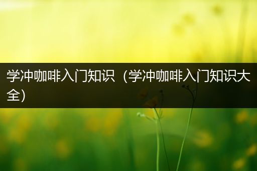 学冲咖啡入门知识（学冲咖啡入门知识大全）