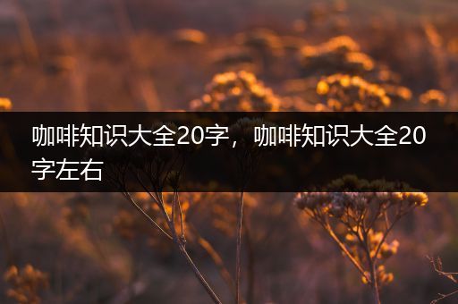 咖啡知识大全20字，咖啡知识大全20字左右