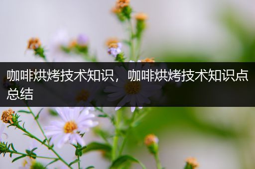 咖啡烘烤技术知识，咖啡烘烤技术知识点总结