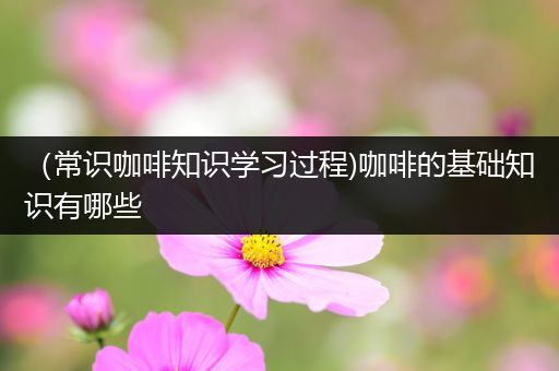 （常识咖啡知识学习过程)咖啡的基础知识有哪些