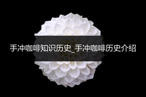 手冲咖啡知识历史_手冲咖啡历史介绍