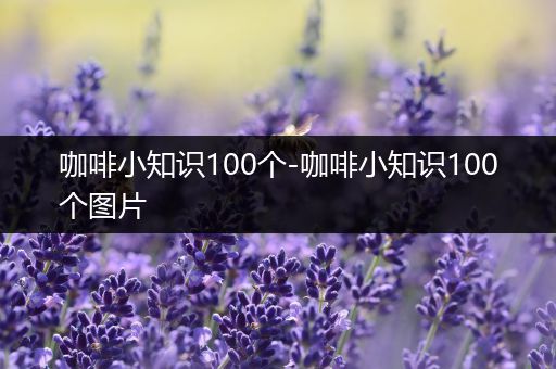 咖啡小知识100个-咖啡小知识100个图片