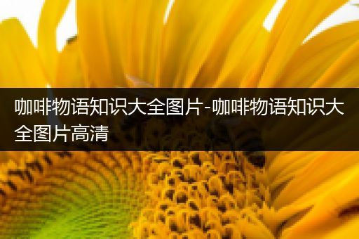 咖啡物语知识大全图片-咖啡物语知识大全图片高清