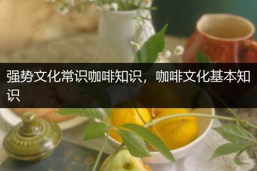 强势文化常识咖啡知识，咖啡文化基本知识