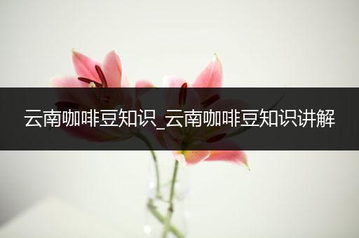 云南咖啡豆知识_云南咖啡豆知识讲解