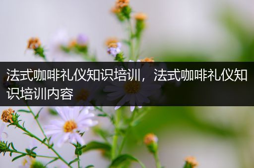 法式咖啡礼仪知识培训，法式咖啡礼仪知识培训内容