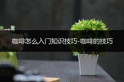 咖啡怎么入门知识技巧-咖啡的技巧