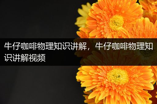 牛仔咖啡物理知识讲解，牛仔咖啡物理知识讲解视频