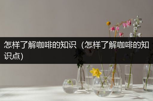 怎样了解咖啡的知识（怎样了解咖啡的知识点）