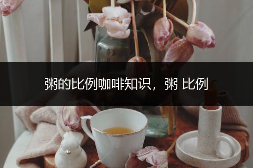 粥的比例咖啡知识，粥 比例