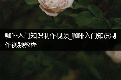 咖啡入门知识制作视频_咖啡入门知识制作视频教程