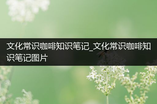 文化常识咖啡知识笔记_文化常识咖啡知识笔记图片