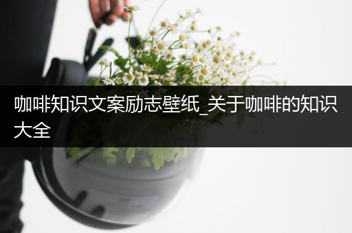 咖啡知识文案励志壁纸_关于咖啡的知识大全