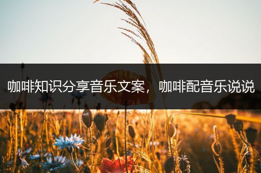 咖啡知识分享音乐文案，咖啡配音乐说说