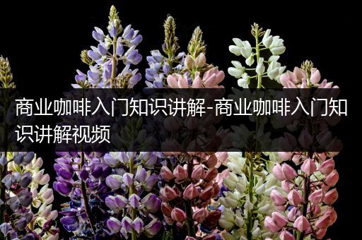 商业咖啡入门知识讲解-商业咖啡入门知识讲解视频