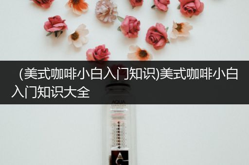 （美式咖啡小白入门知识)美式咖啡小白入门知识大全