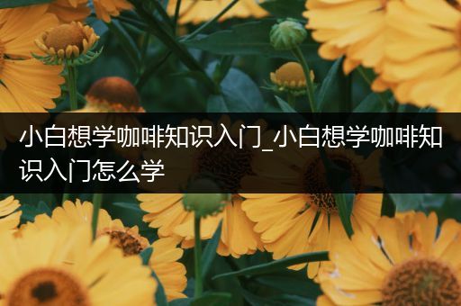 小白想学咖啡知识入门_小白想学咖啡知识入门怎么学