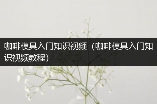 咖啡模具入门知识视频（咖啡模具入门知识视频教程）