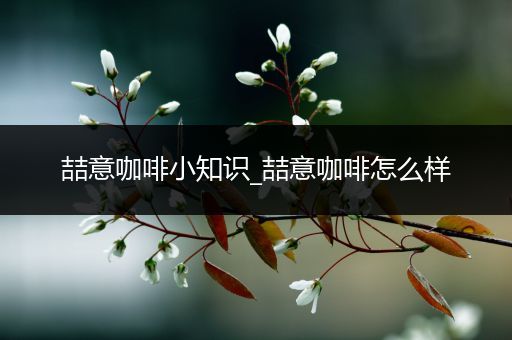 喆意咖啡小知识_喆意咖啡怎么样