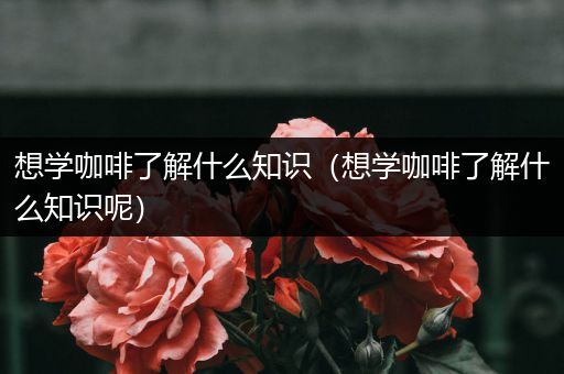 想学咖啡了解什么知识（想学咖啡了解什么知识呢）