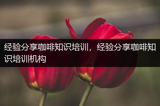 经验分享咖啡知识培训，经验分享咖啡知识培训机构