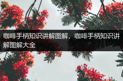 咖啡手柄知识讲解图解，咖啡手柄知识讲解图解大全