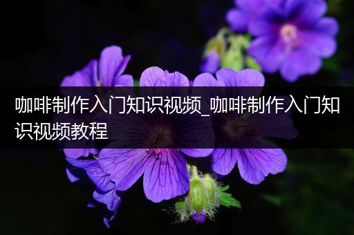 咖啡制作入门知识视频_咖啡制作入门知识视频教程