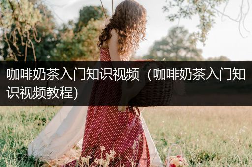 咖啡奶茶入门知识视频（咖啡奶茶入门知识视频教程）