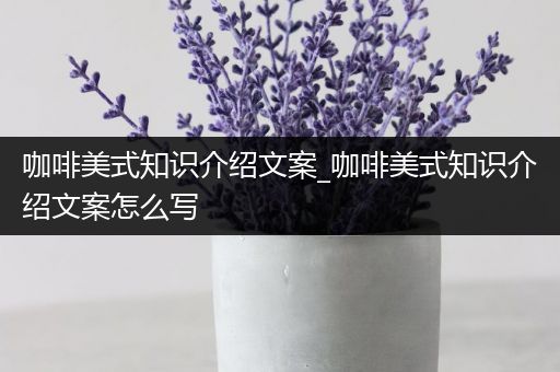 咖啡美式知识介绍文案_咖啡美式知识介绍文案怎么写