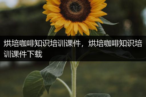 烘培咖啡知识培训课件，烘培咖啡知识培训课件下载