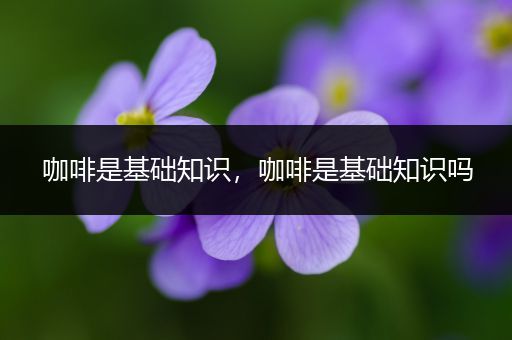 咖啡是基础知识，咖啡是基础知识吗